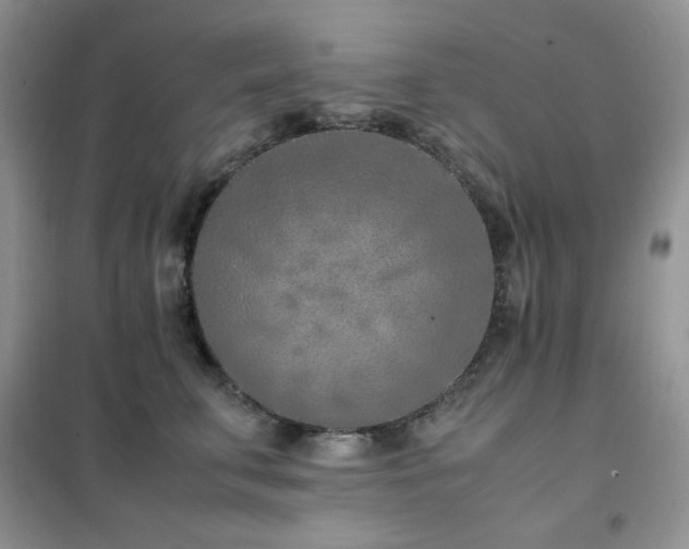 X0000102390711200808011600