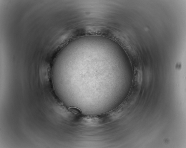 X0000102390712200808011600