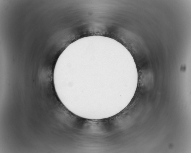 X0000102390713200808011600