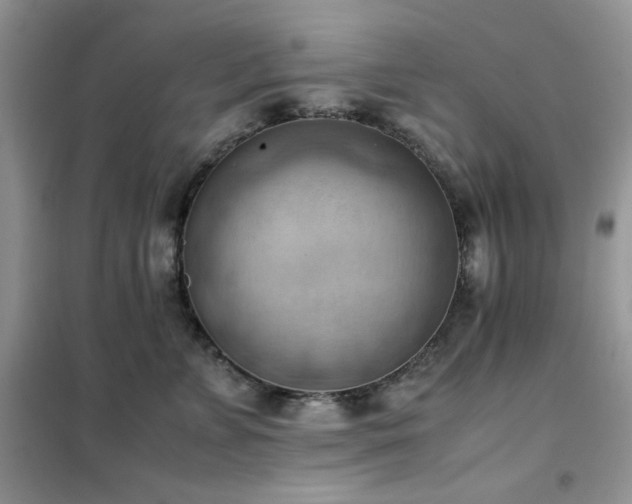 X0000102390715200808011600