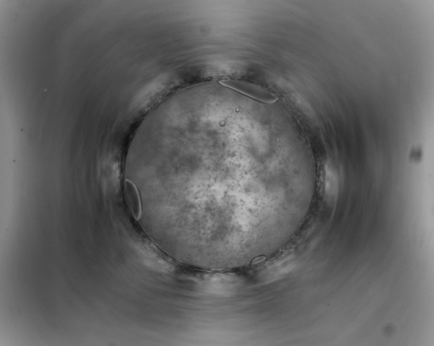 X0000102390716200808011600