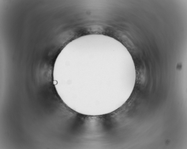 X0000102390717200808011600