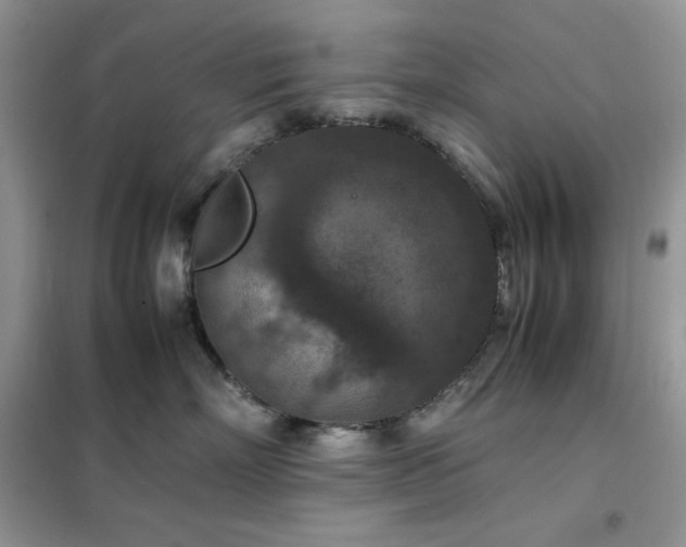 X0000102390718200808011600