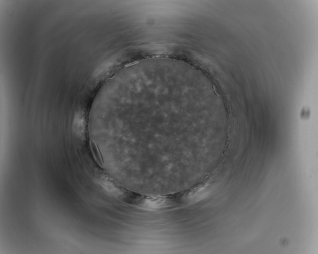 X0000102390720200808011600