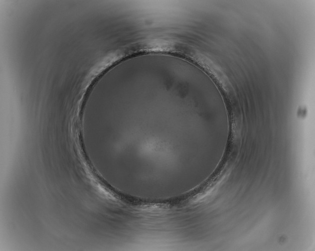 X0000102390721200808011559