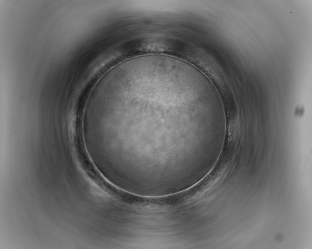 X0000102390722200808011559