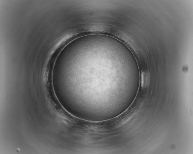 X0000102390723200808011559