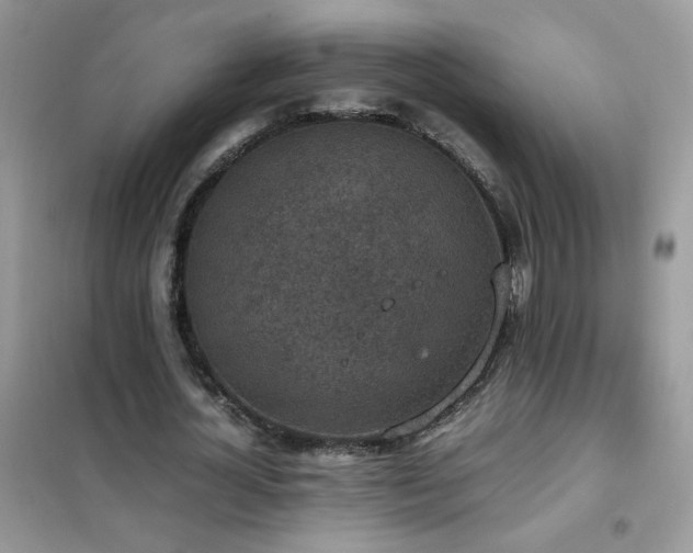 X0000102390724200808011559