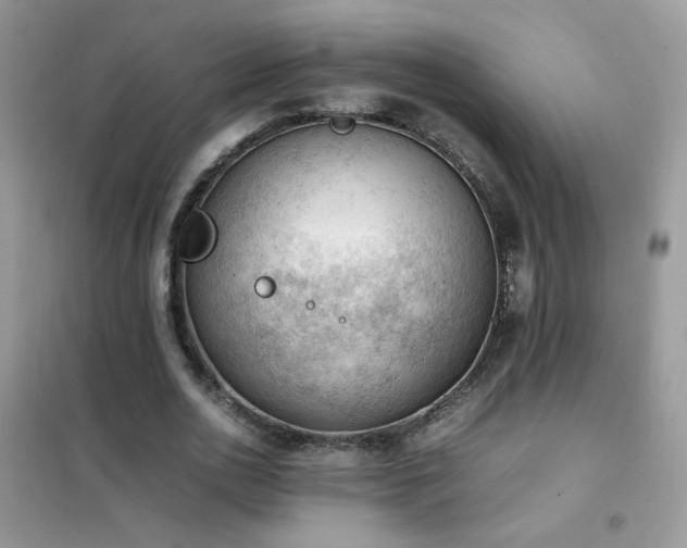 X0000102390726200808011559