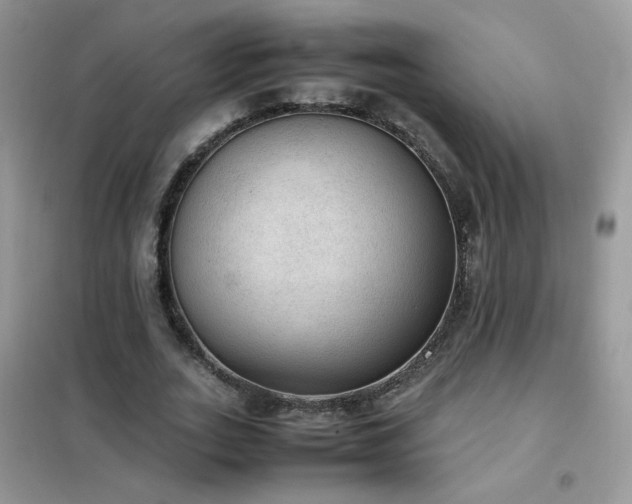 X0000102390727200808011559