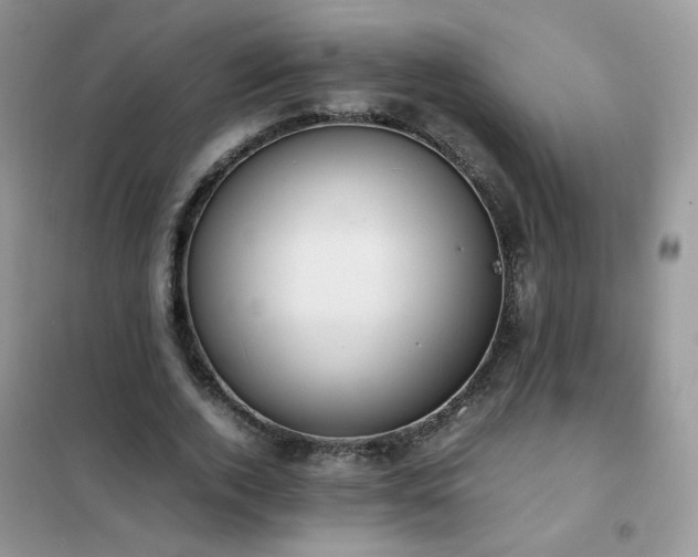 X0000102390728200808011559