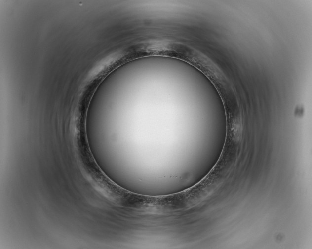 X0000102390732200808011559