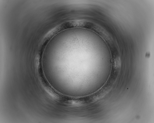 X0000102390733200808011559