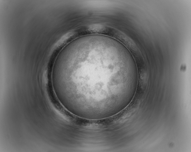 X0000102390734200808011559