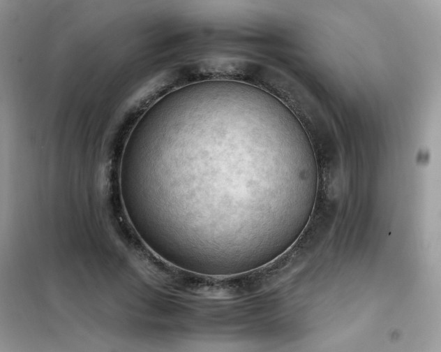 X0000102390735200808011559