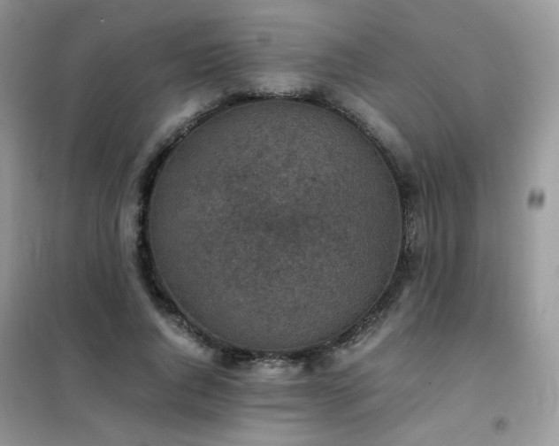 X0000102390736200808011559