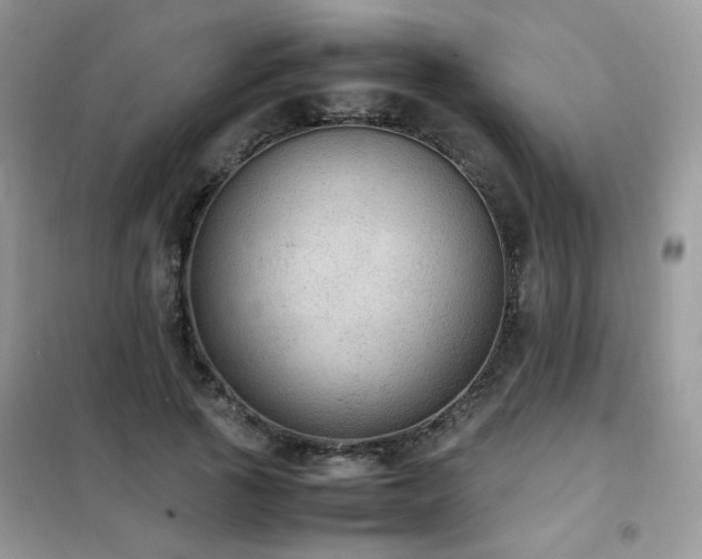 X0000102390737200808011559