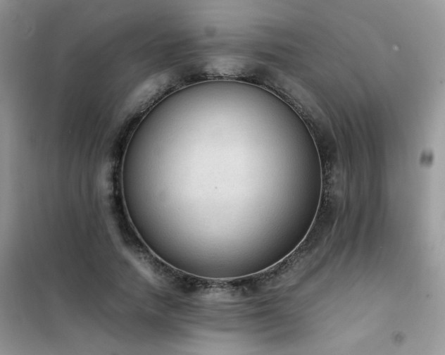 X0000102390738200808011559