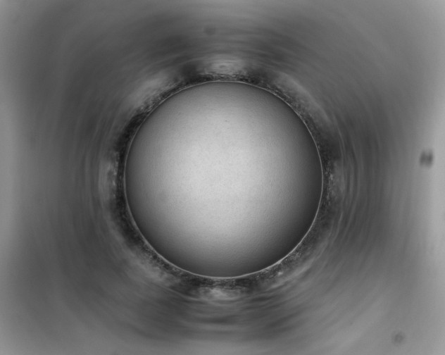 X0000102390739200808011559