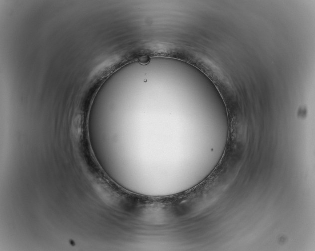 X0000102390740200808011559