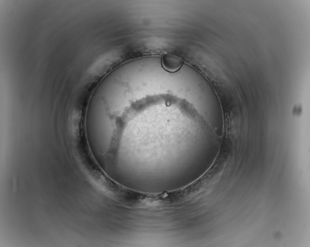 X0000102390742200808011600