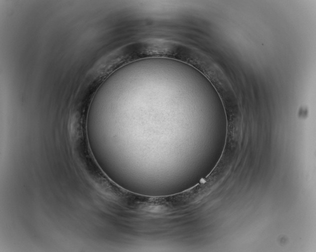 X0000102390743200808011600