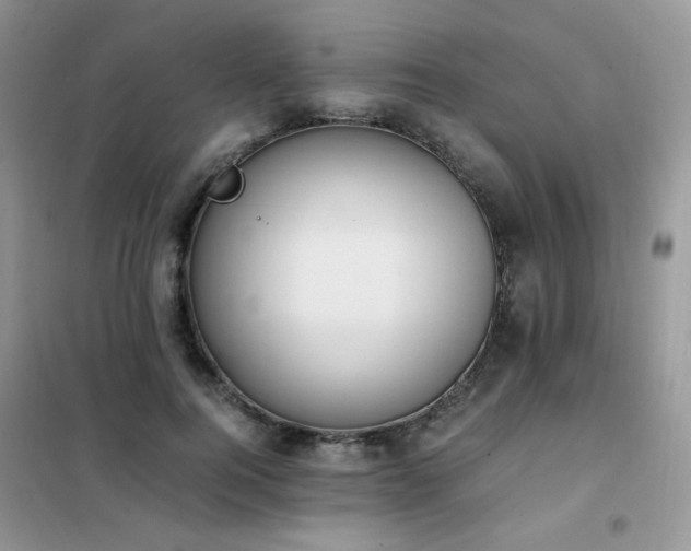 X0000102390744200808011600