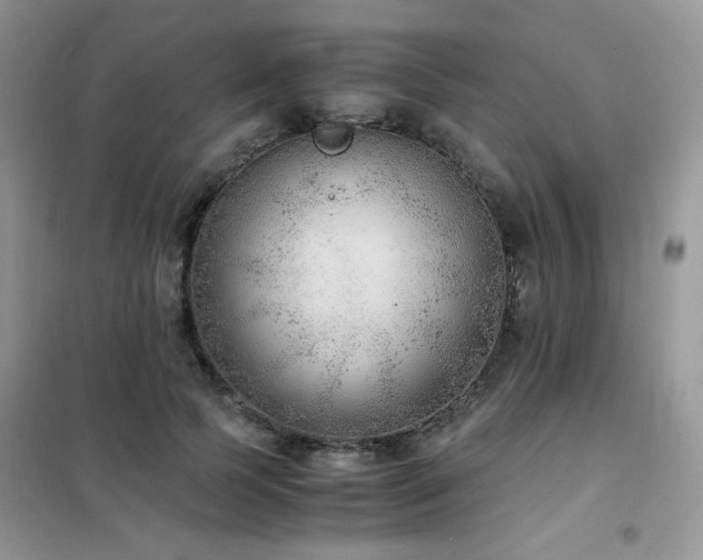 X0000102390745200808011600