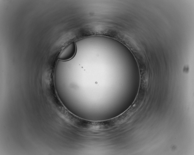 X0000102390746200808011600