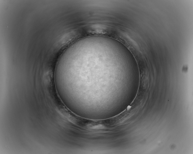 X0000102390747200808011600