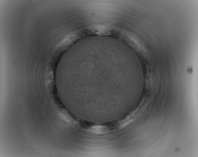 X0000102390748200808011600