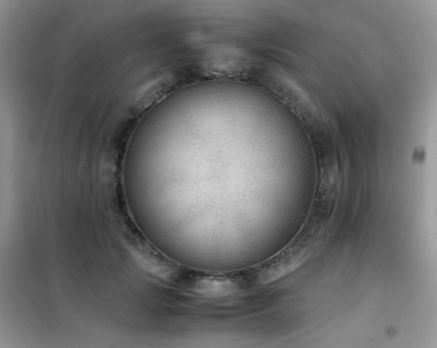 X0000102390749200808011600