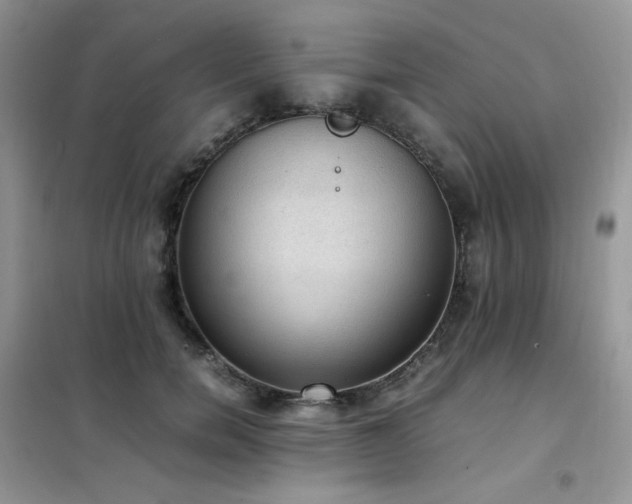 X0000102390750200808011600