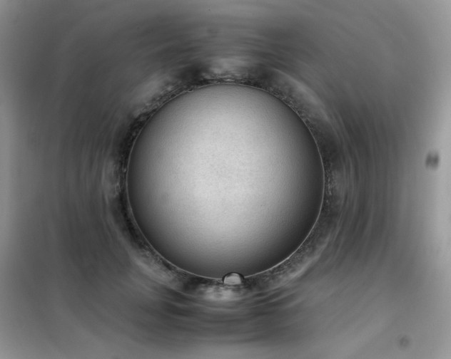 X0000102390751200808011600