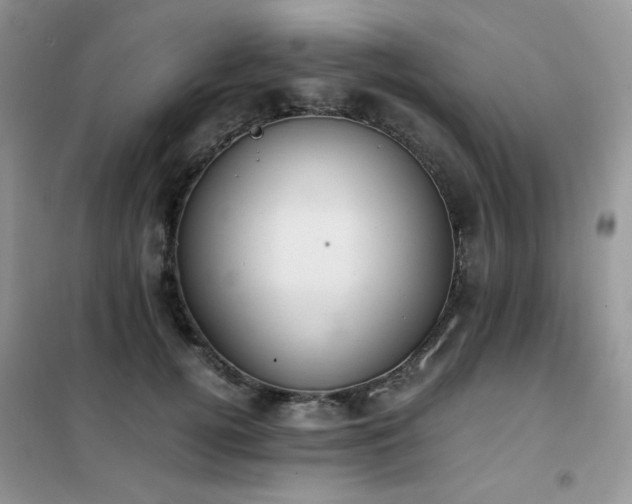 X0000102390752200808011600