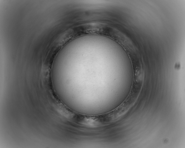 X0000102390753200808011600