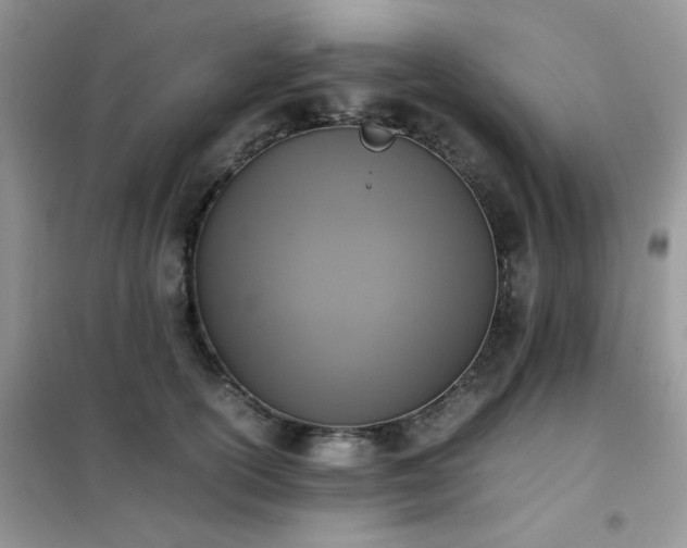 X0000102390754200808011600