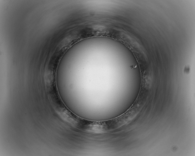 X0000102390756200808011600