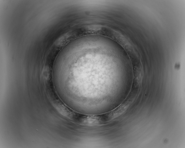 X0000102390758200808011600