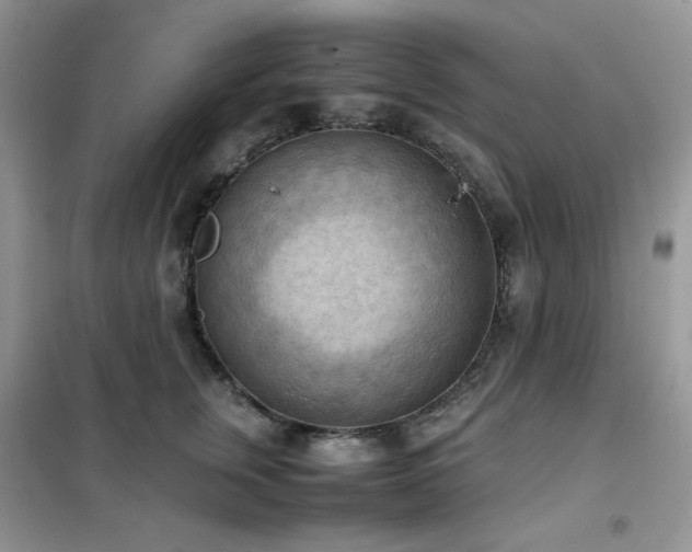 X0000102390759200808011600