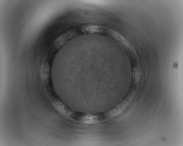 X0000102390760200808011600