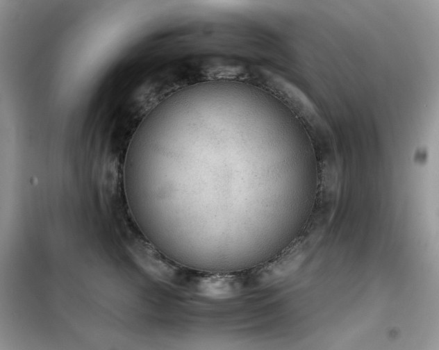 X0000102390761200808011600