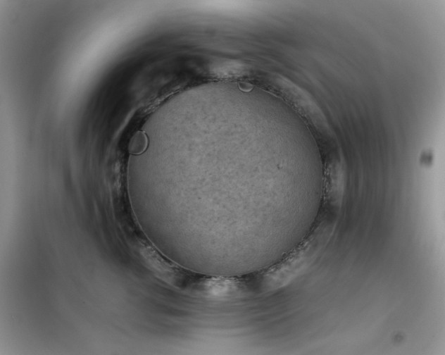 X0000102390762200808011600