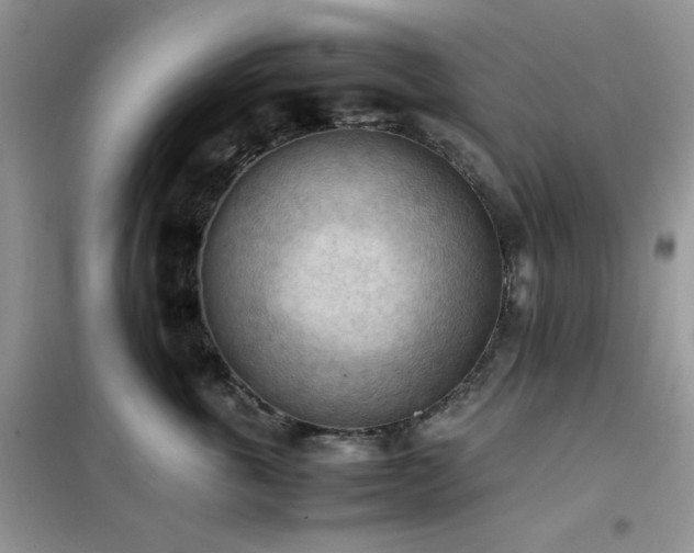 X0000102390763200808011600