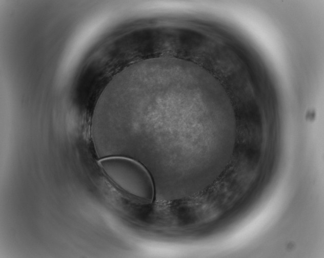 X0000102390766200808011600