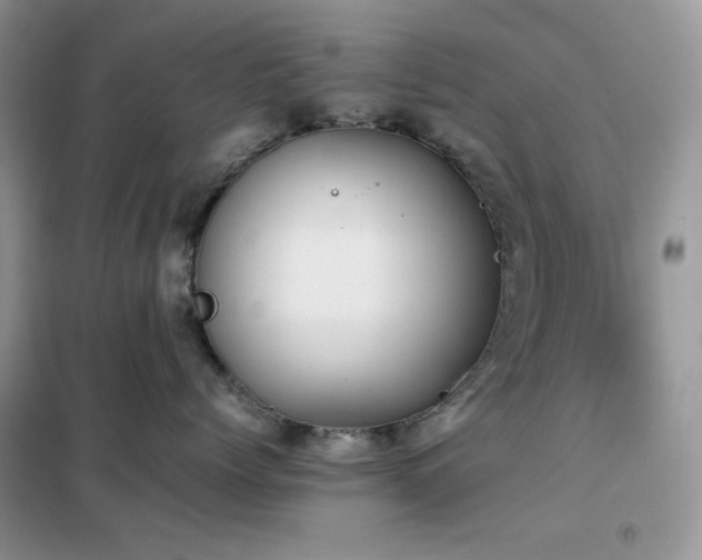 X0000102390768200808011600