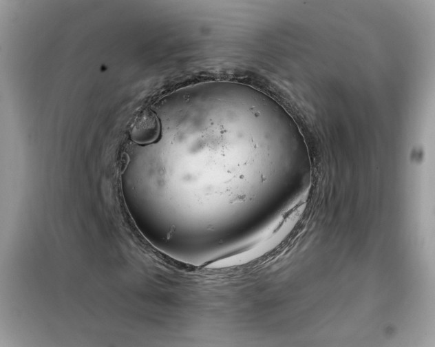 X0000102390769200808011559