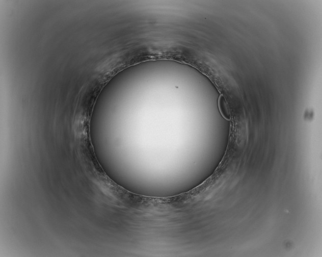 X0000102390770200808011559