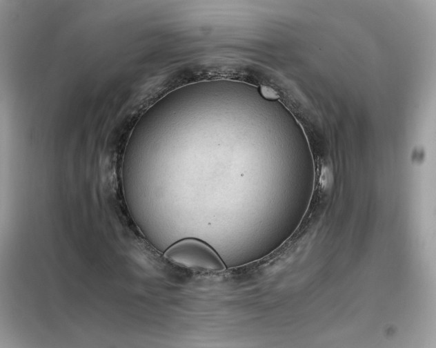 X0000102390771200808011559