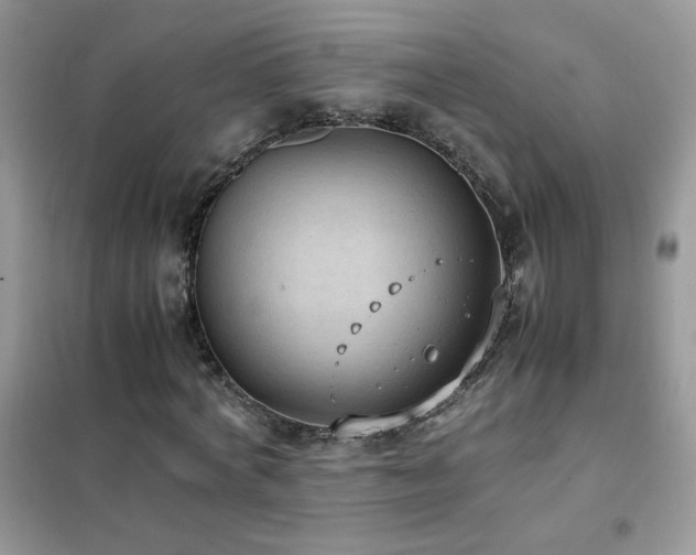 X0000102390772200808011559